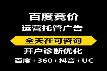 百度推广运营实战：成功案例解析